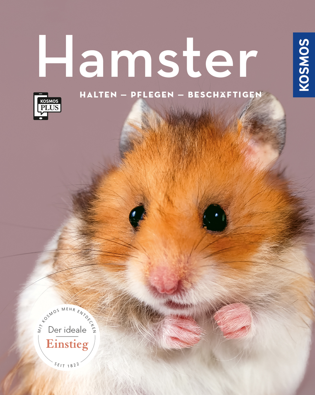 Hamster In Englisch
